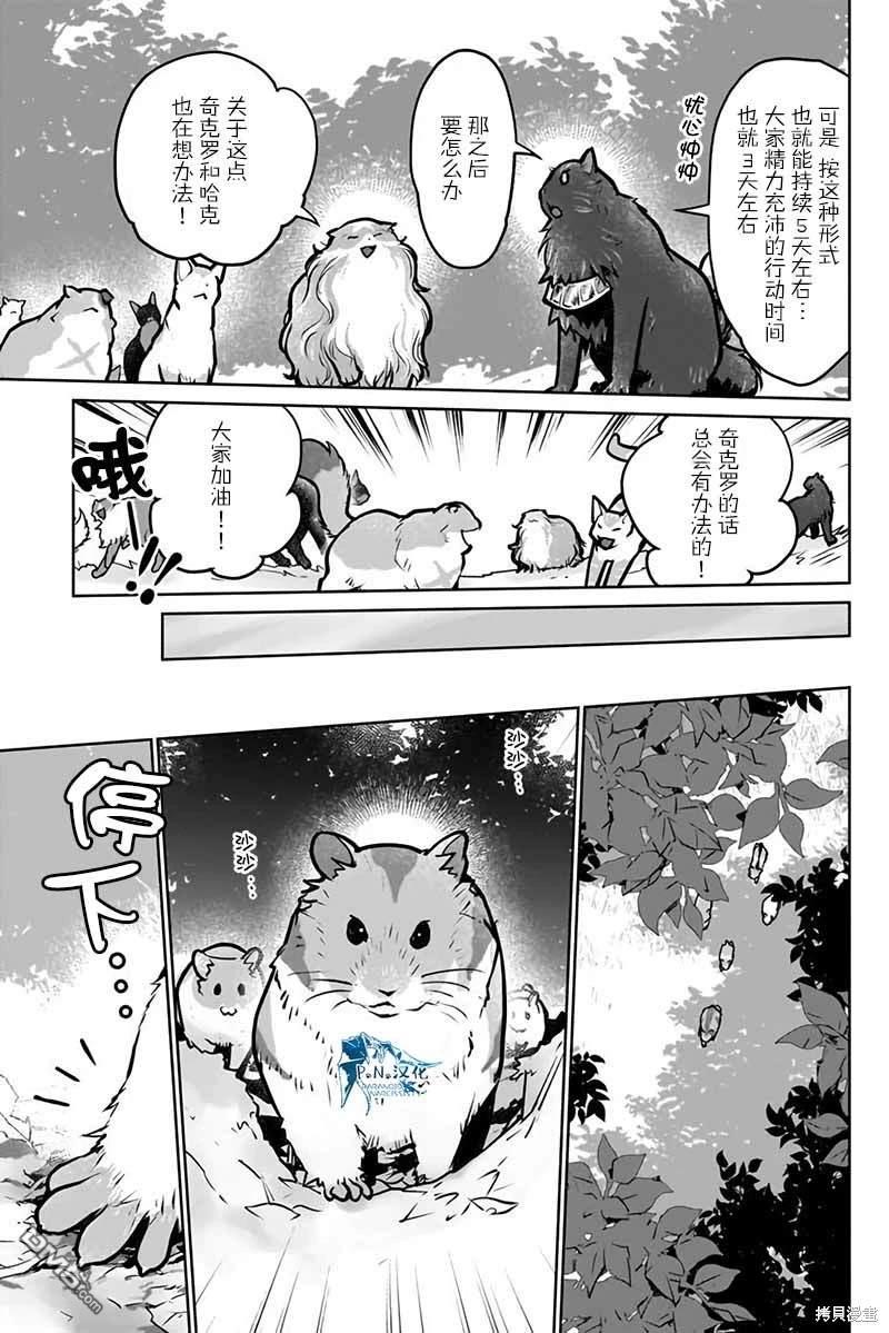 猫与龙 第40话 第21页
