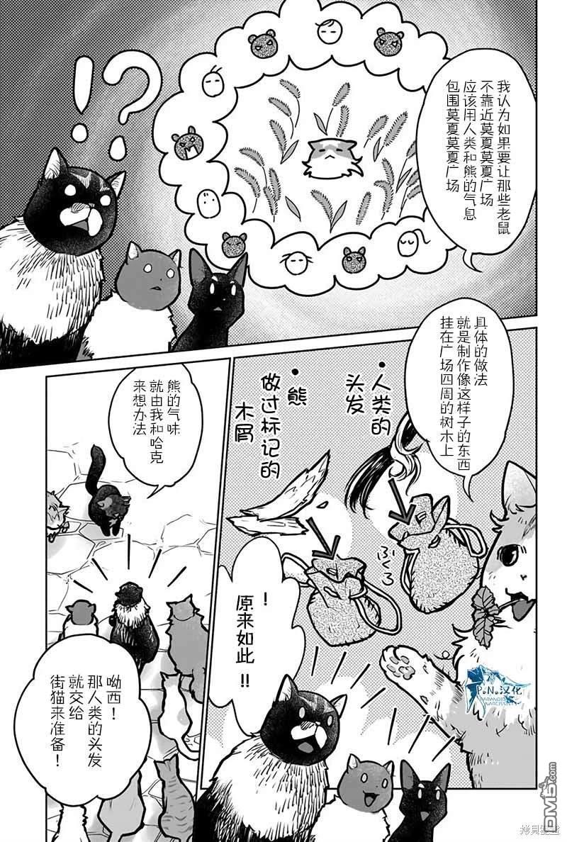 猫与龙 第40话 第27页