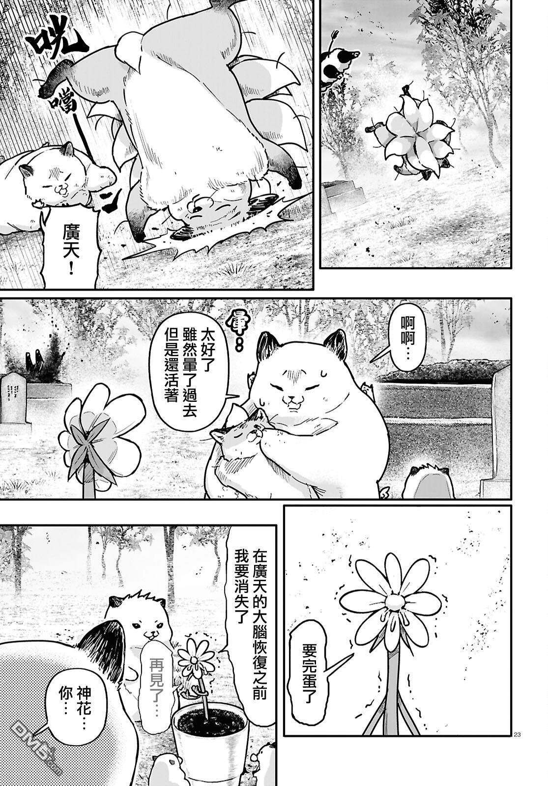 千年狐 第60话 第23页