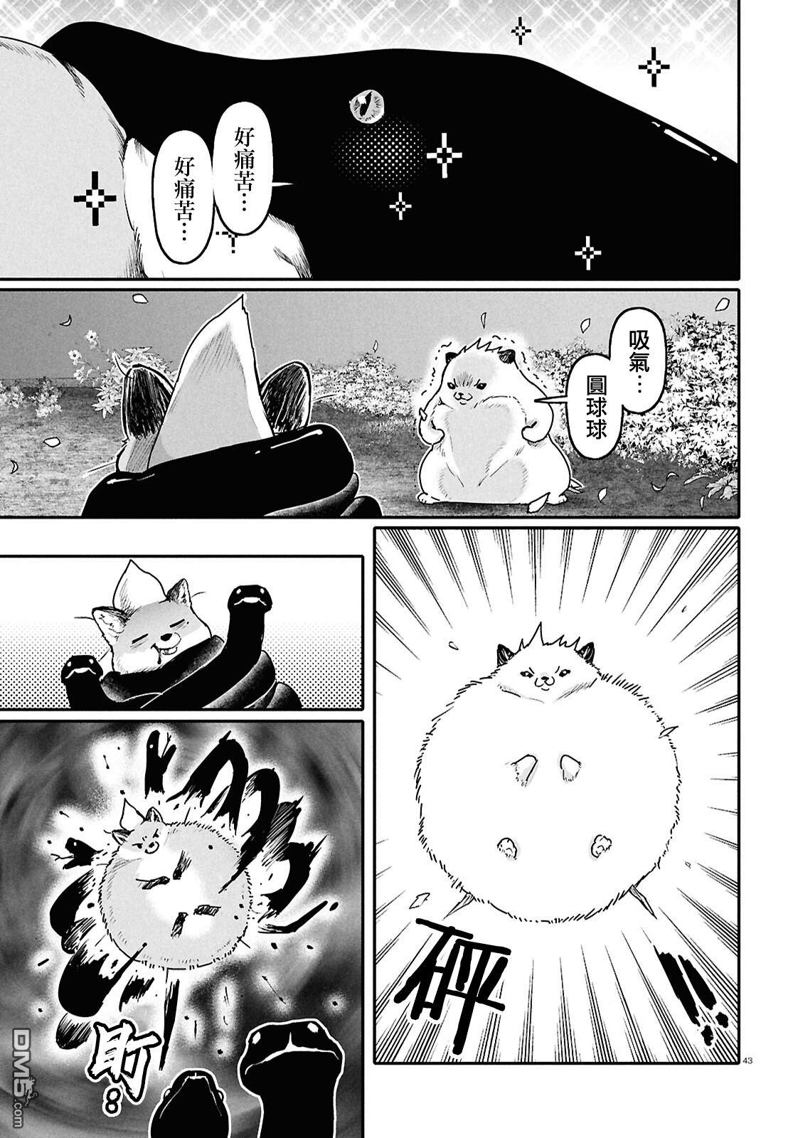 千年狐 第62话 第43页