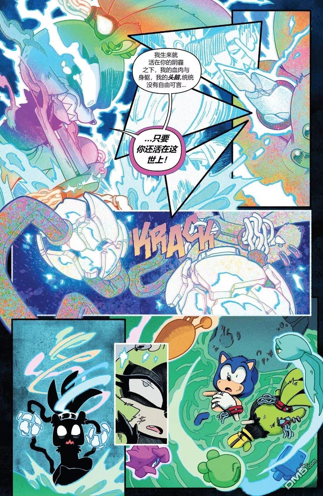 IDW刺蝟索尼克 第56话 第14页