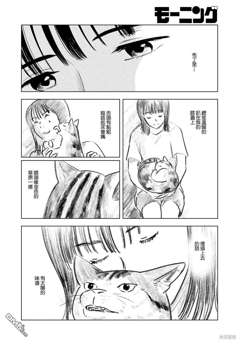 8月31日的长夏 第22话 第16页
