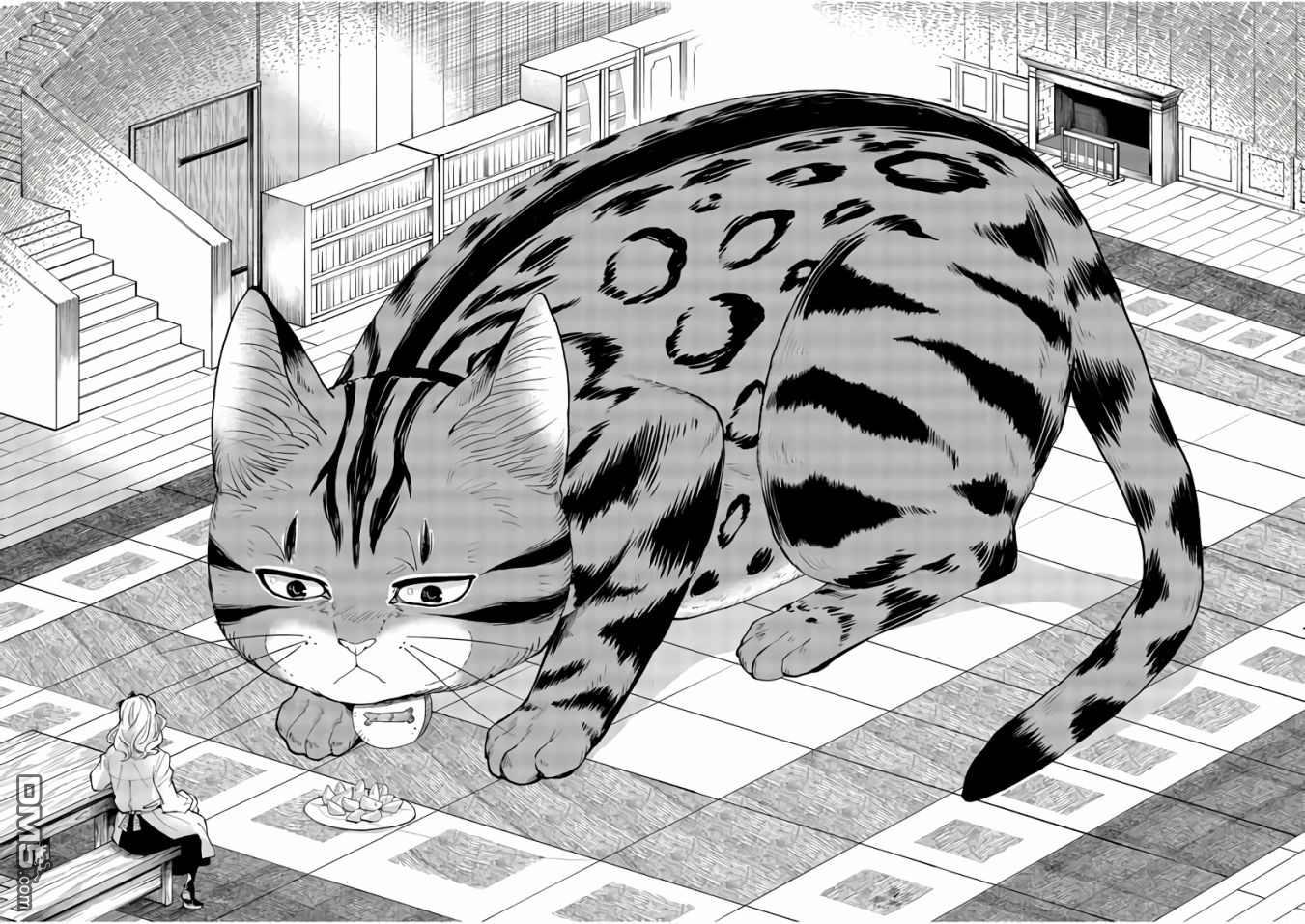 异世界猫和不高兴魔女 第1话 第4页