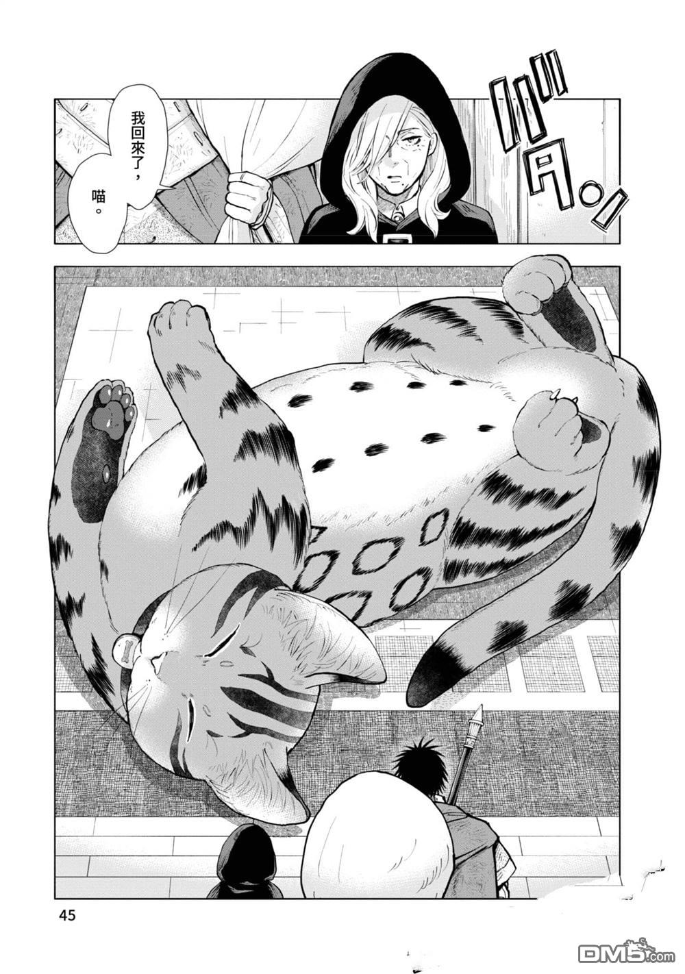 异世界猫和不高兴魔女 第2卷 第46页
