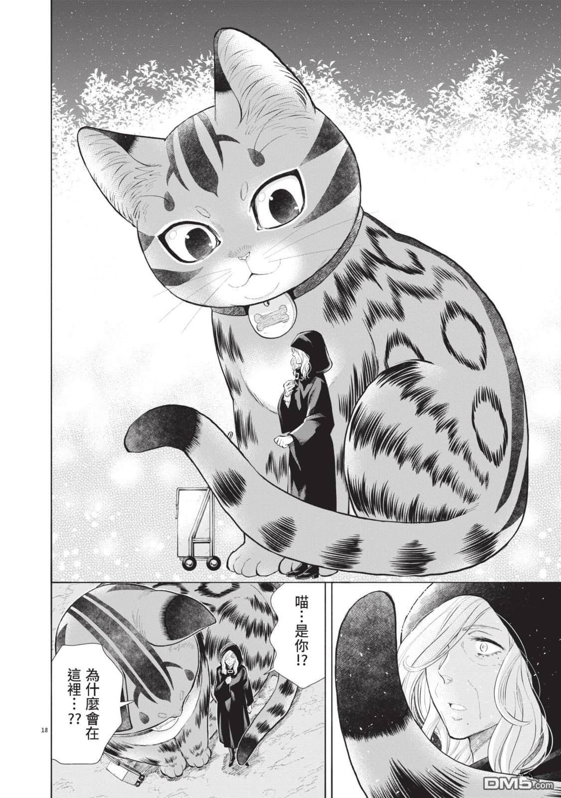 异世界猫和不高兴魔女 第4卷 第49页