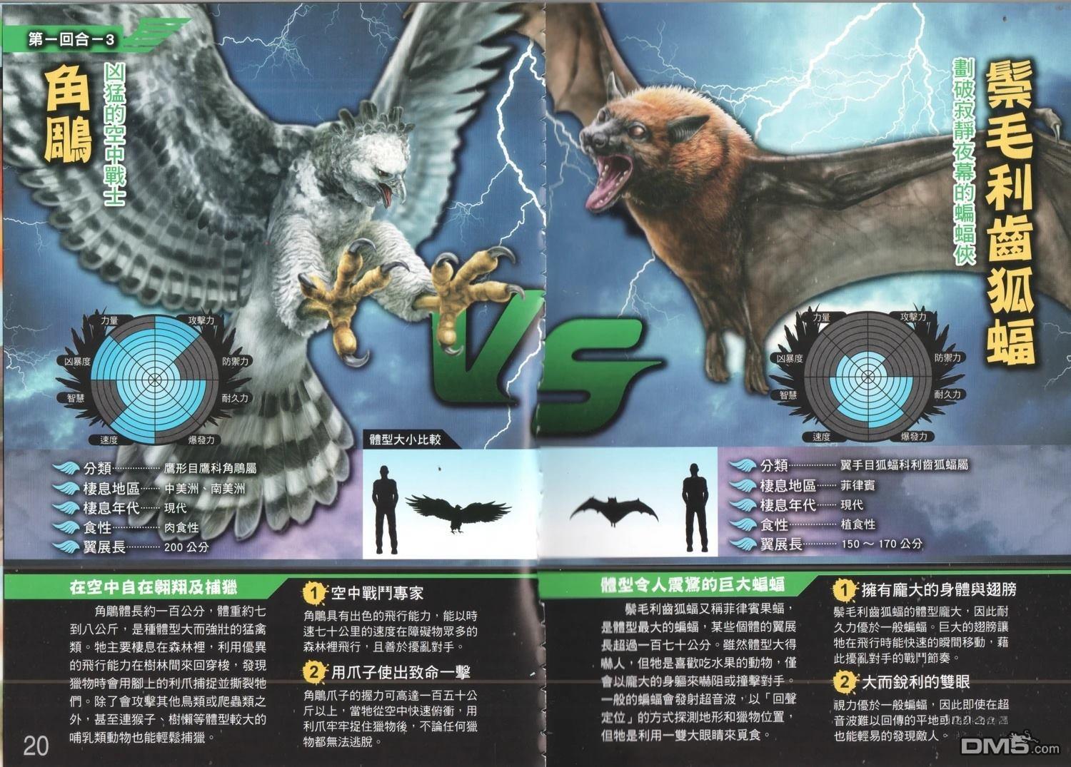 空中最强王图鉴 第1卷 第13页