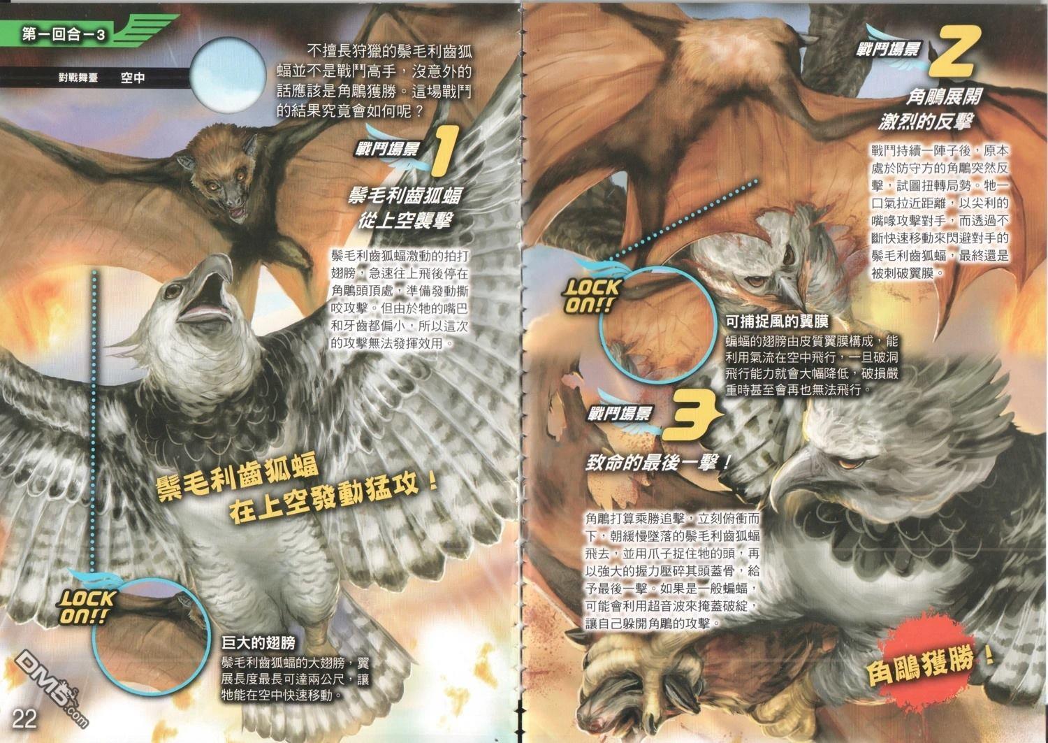 空中最强王图鉴 第1卷 第14页