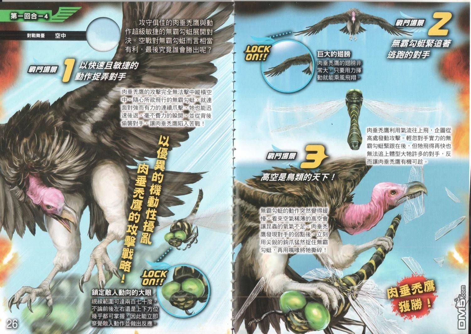 空中最强王图鉴 第1卷 第16页