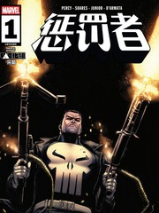 惩罚者V15