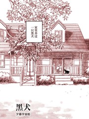 黑犬漫画封面