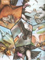空中最强王图鉴漫画封面