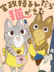 叫了家政来了猫漫画封面