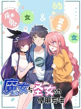 魔女与圣女的使用方法_h