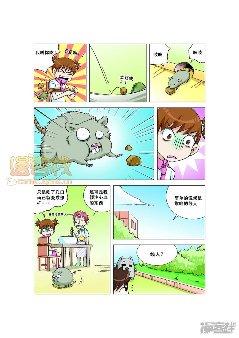 第6页
