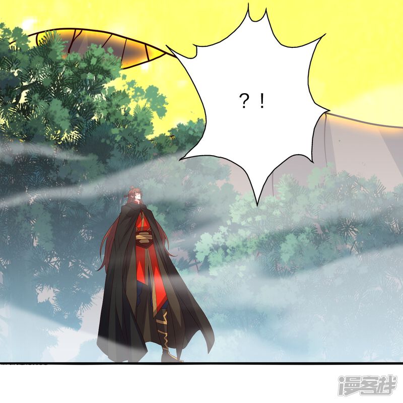 第223页