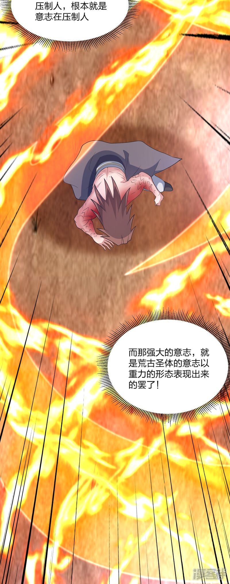 第223页