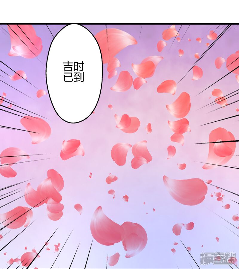第205页