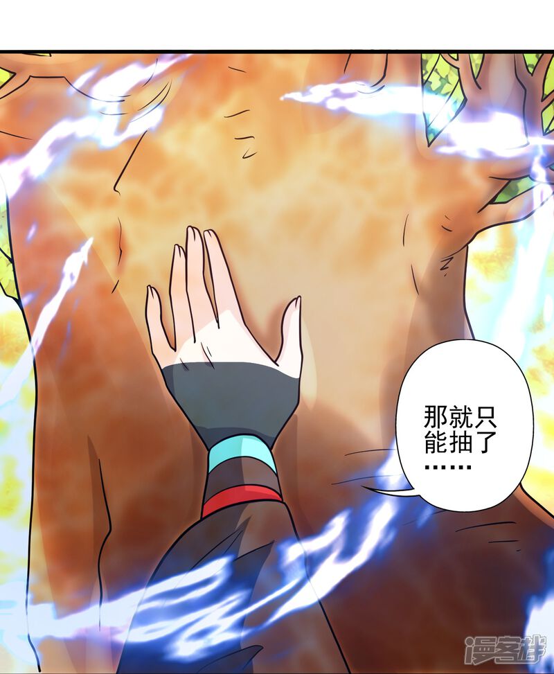 第251页