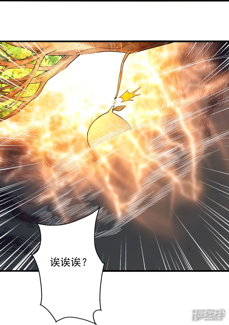第219页