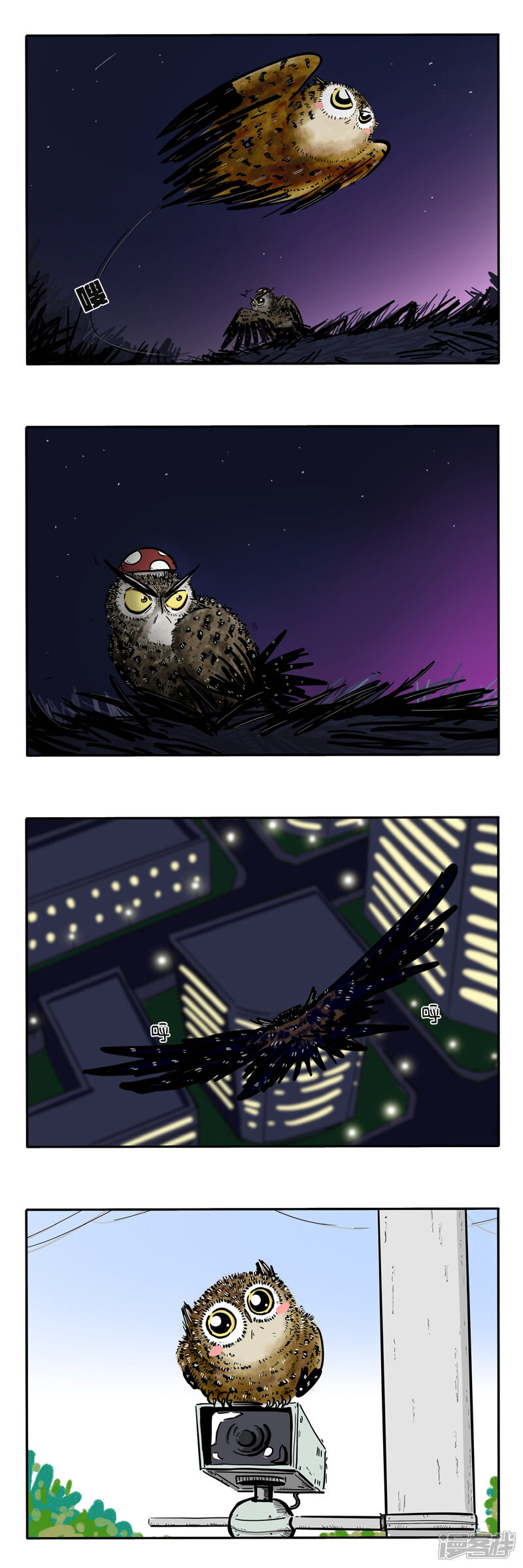 第4页