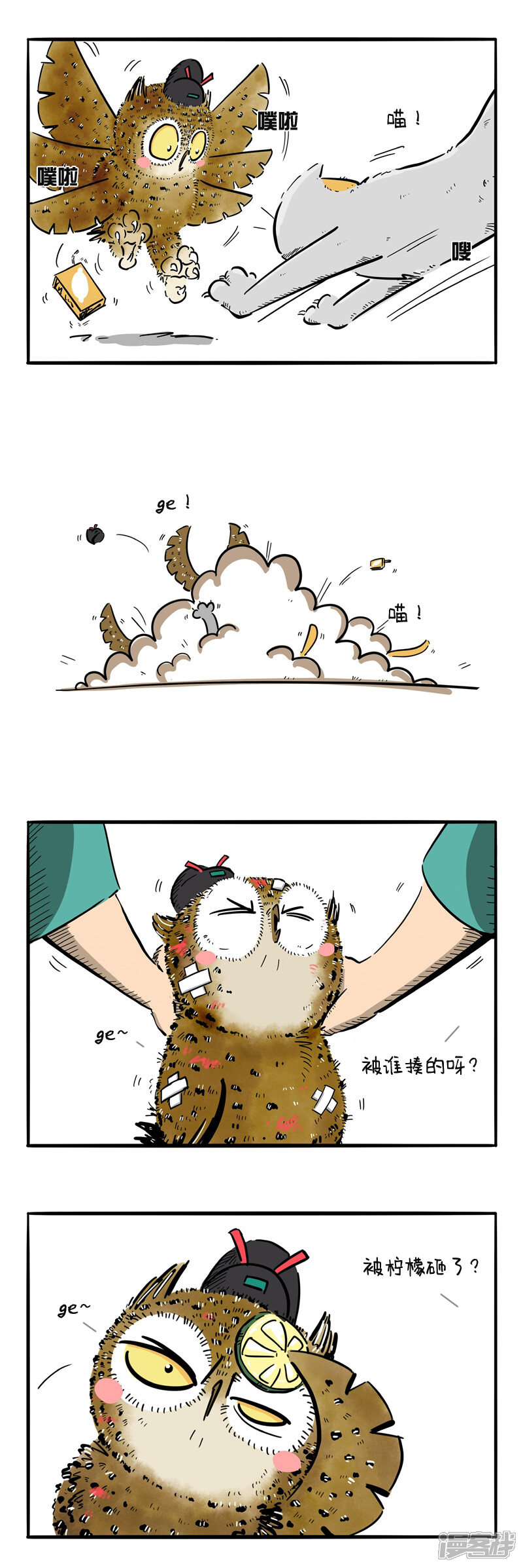 第3页