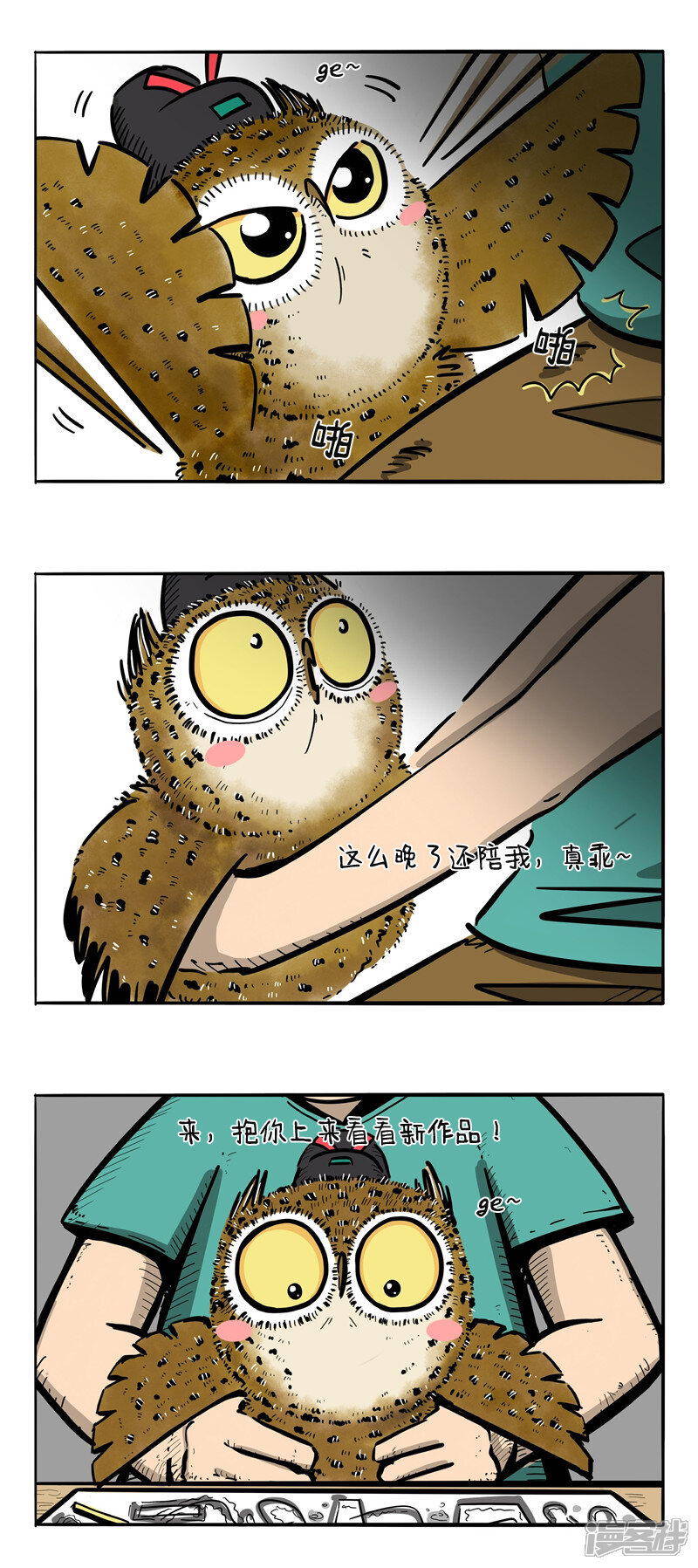 第5页