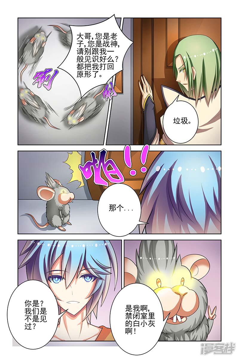 第5页