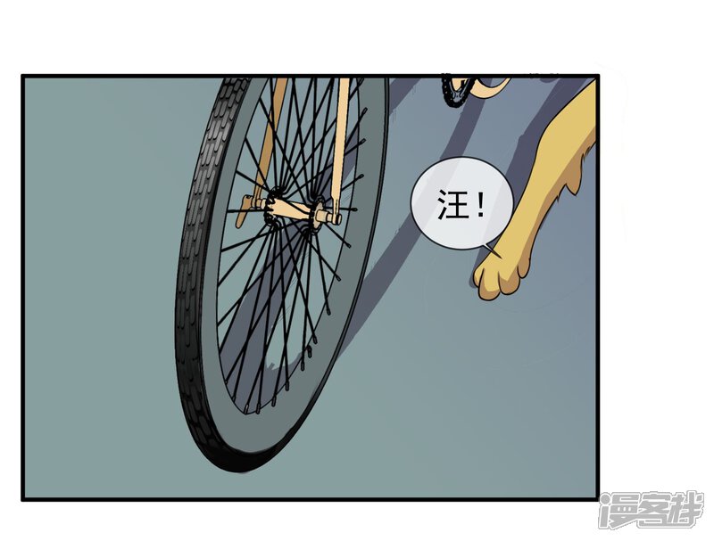 第54页