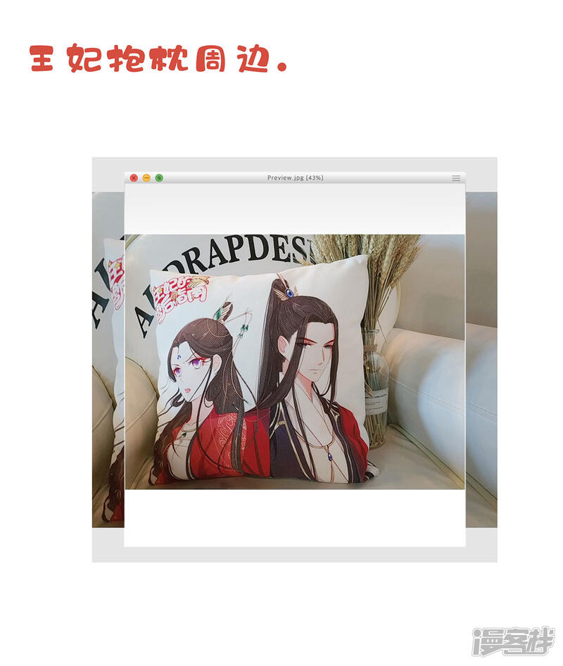 第43页