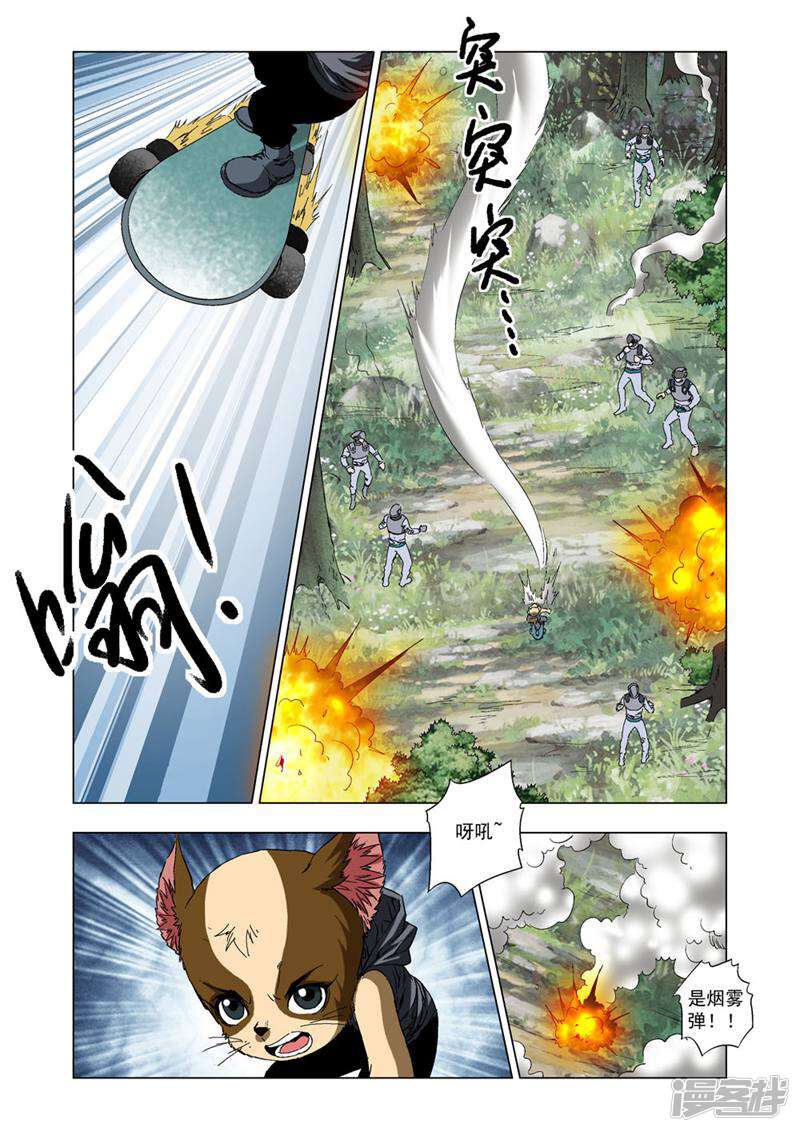 第5页