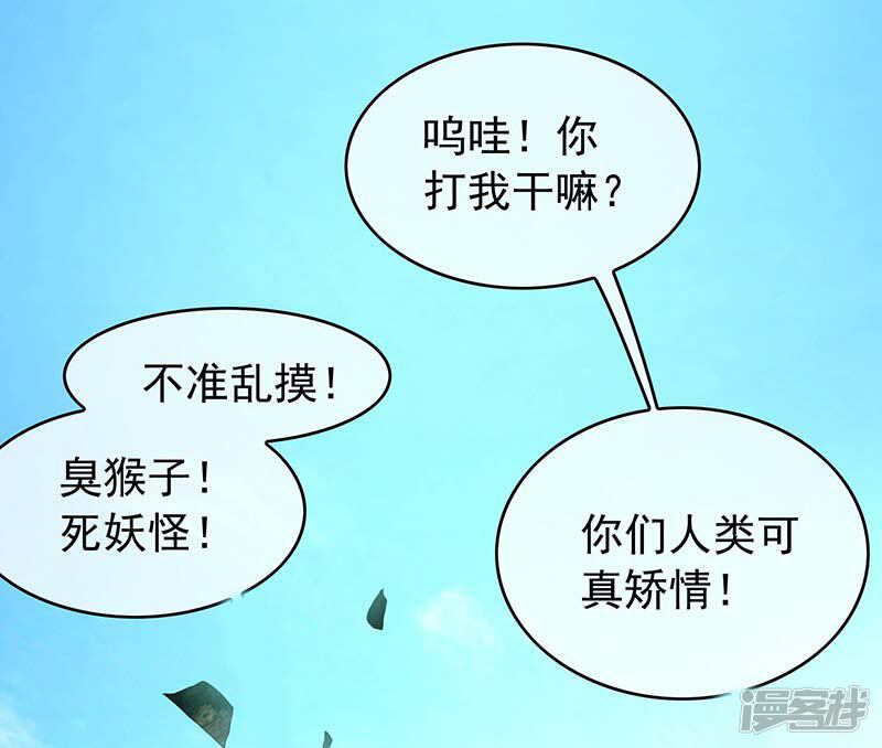 第51页