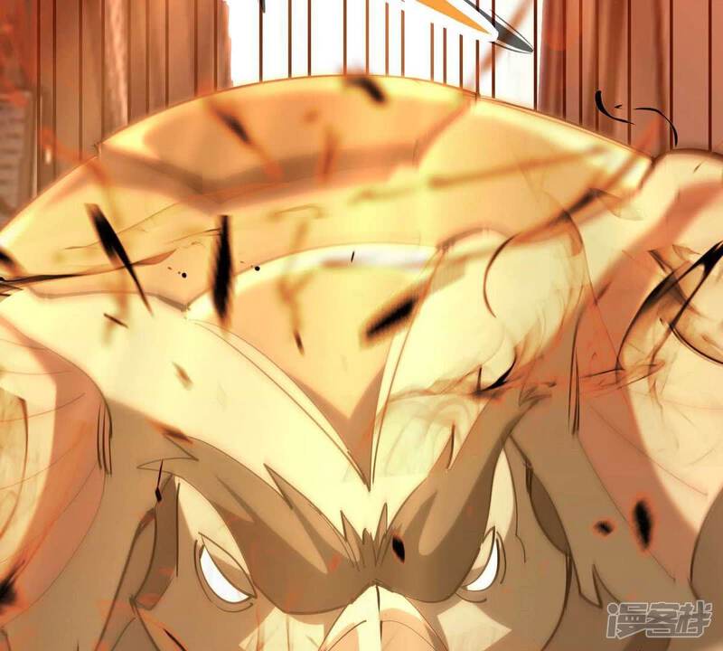 第194页