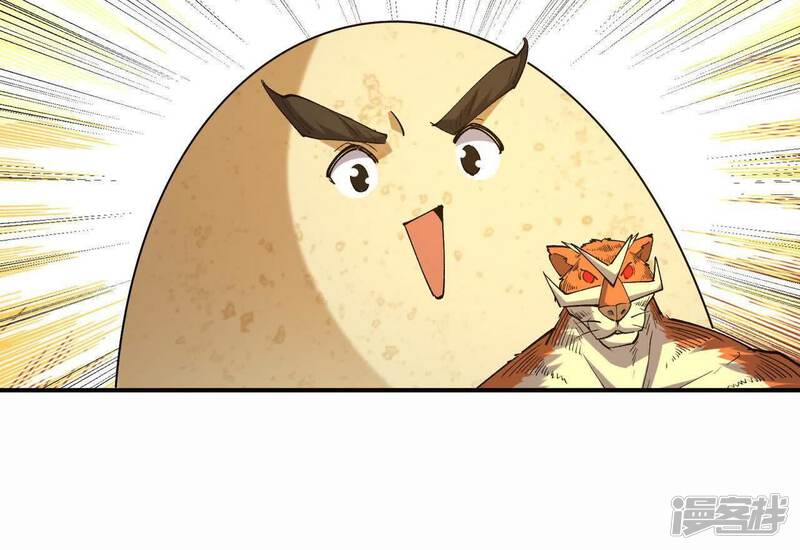 第219页