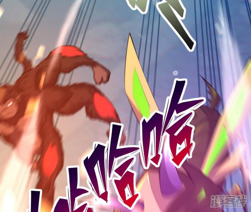 第223页