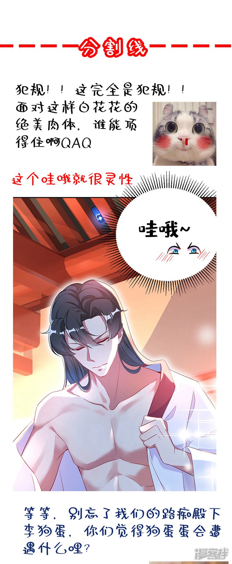 第43页