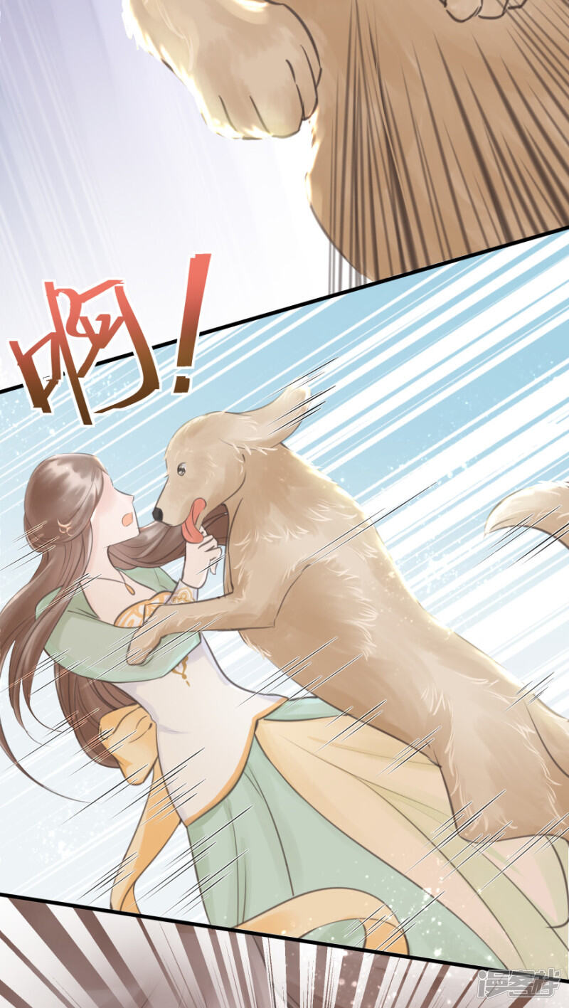 第41页