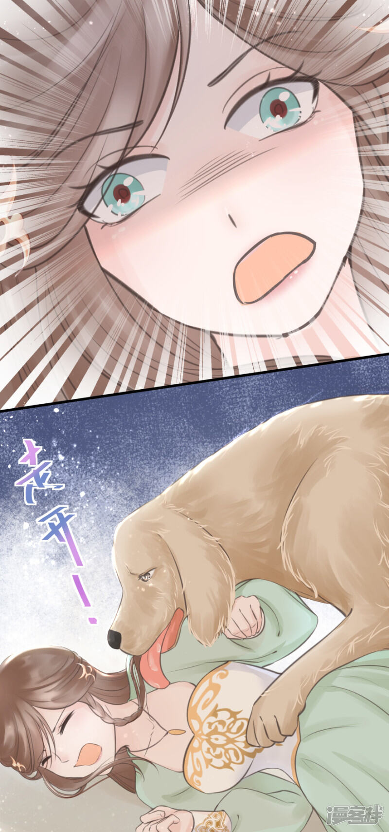 第42页