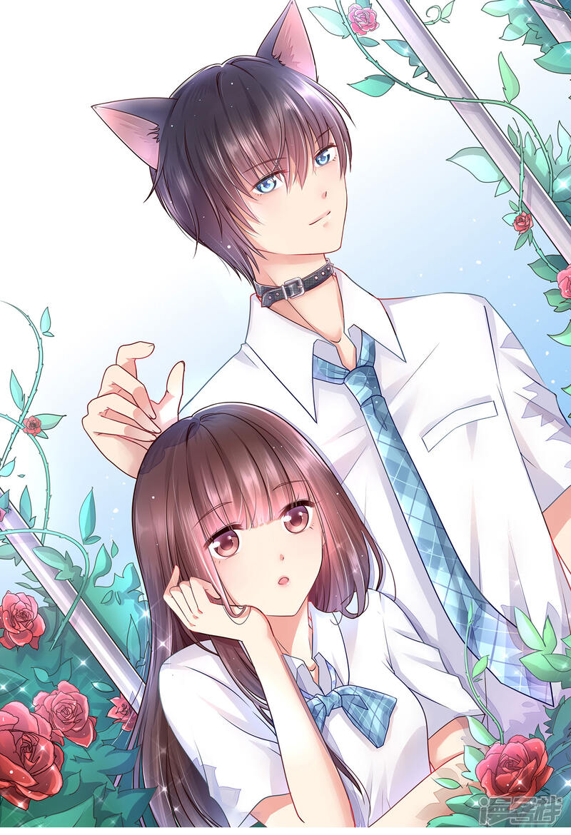 第47页