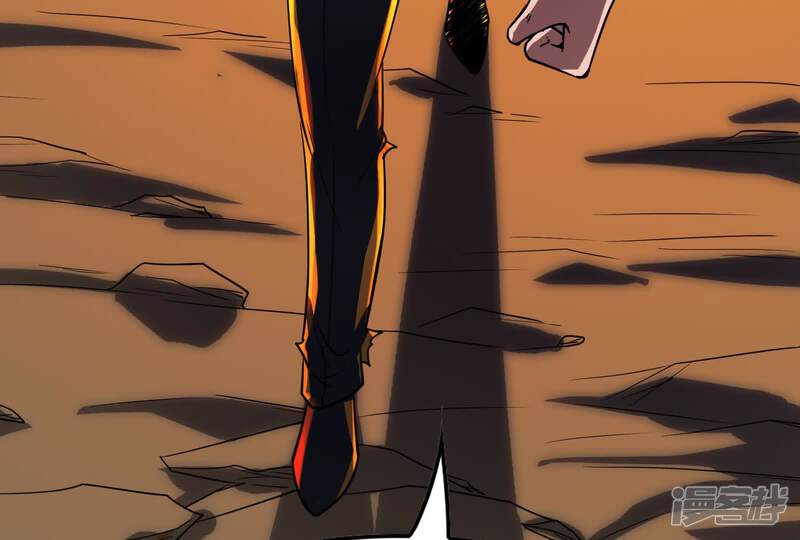 第223页