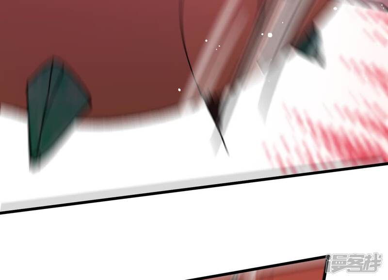 第204页