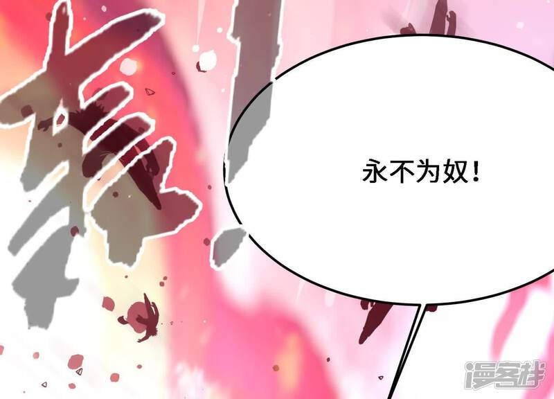 第223页