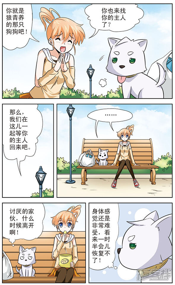 第3页