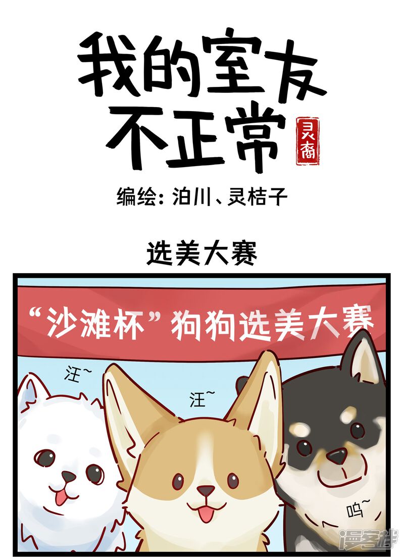 第1页