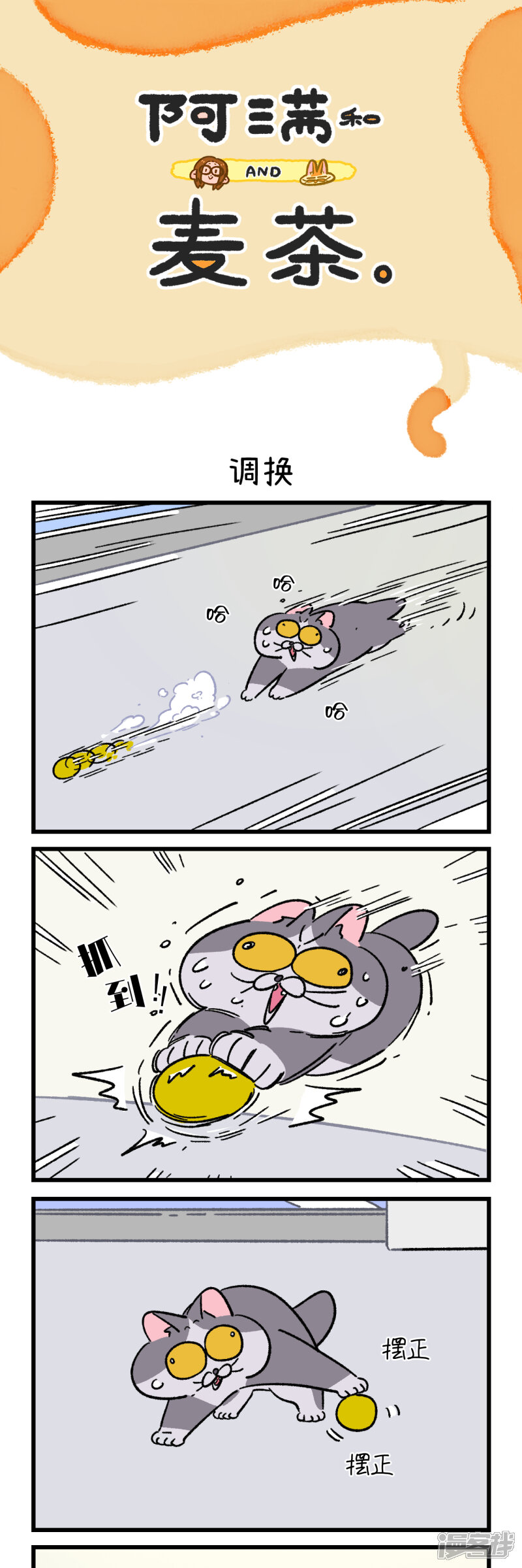 第3页