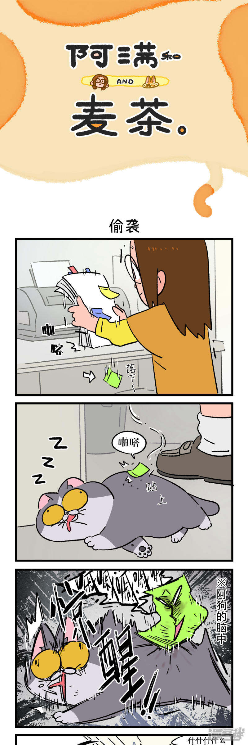 第3页