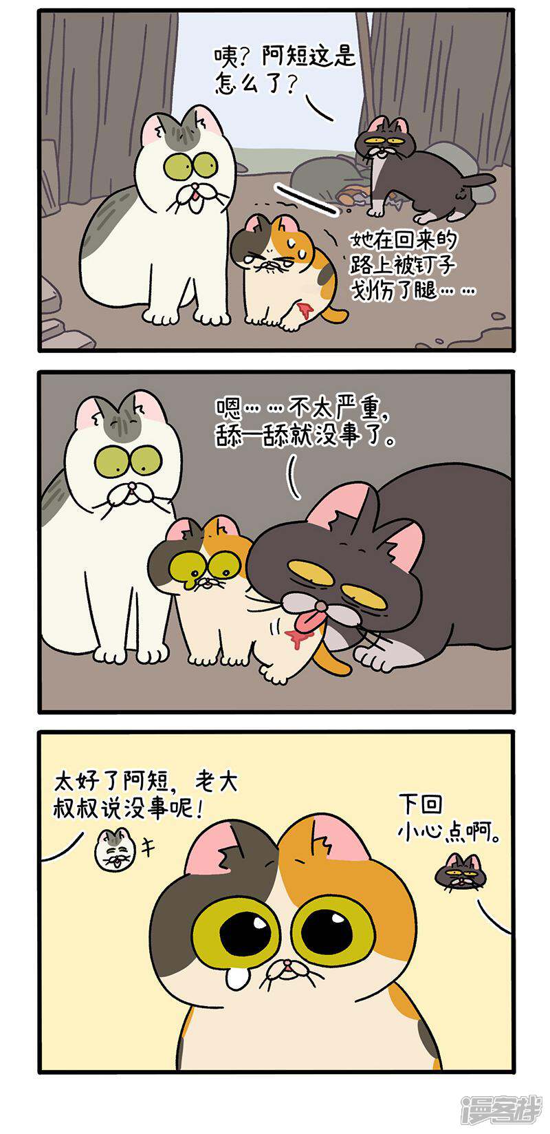 第3页