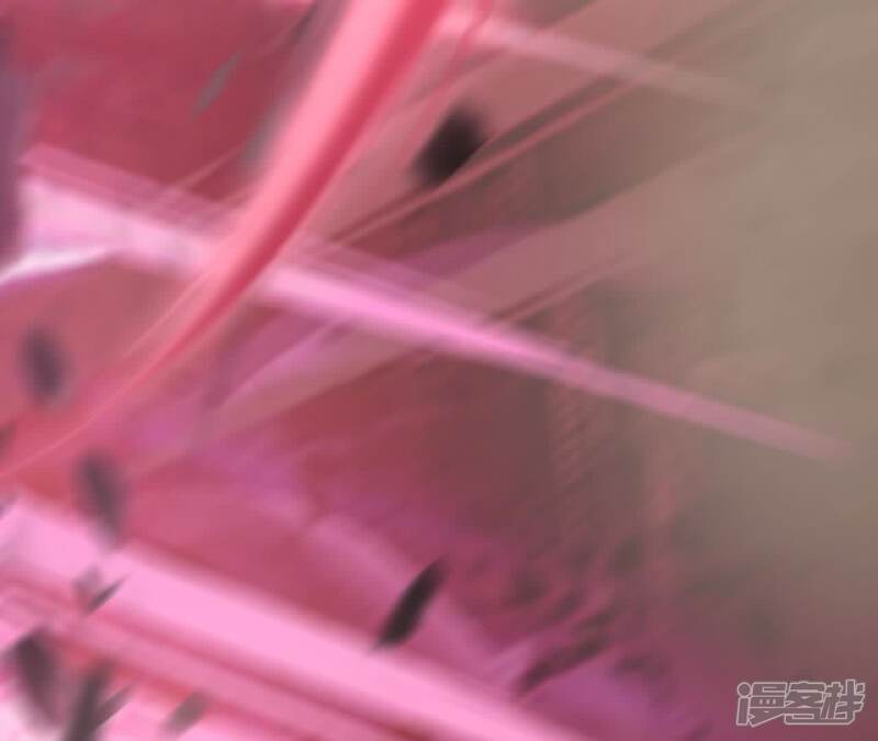 第204页