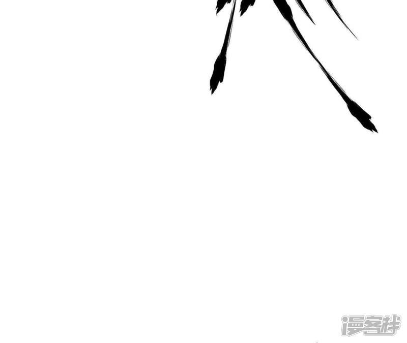 第223页