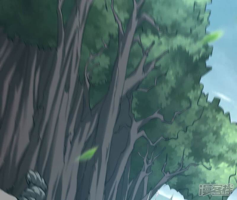 第211页