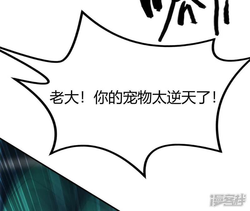第196页